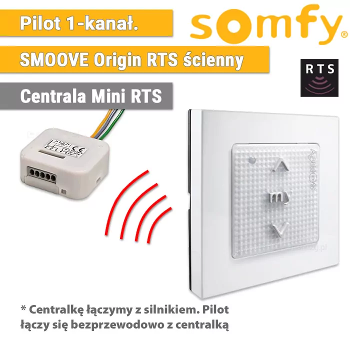 Automatisierung für Refleksol, Somfy Fernbedienung Smoove Origin RTS 1811045, Fernbedienung Smoove Origin RTS - 1 Stück + Zentrale Mini RTS