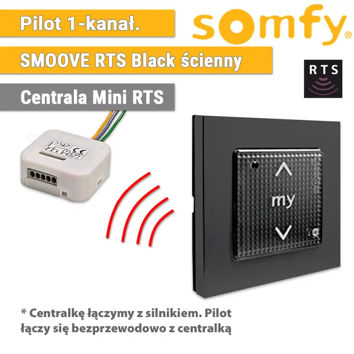 Automatisierung für Refleksol, Somfy Fernbedienung Smoove Origin RTS 1811045, Fernbedienung Smoove Origin RTS - 1 Stück + Zentrale Mini RTS